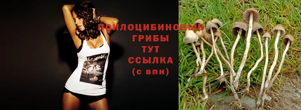 молекула духа Абдулино