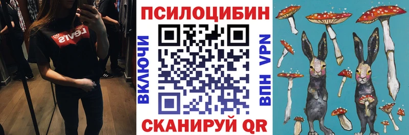 KRAKEN tor  Починок  Галлюциногенные грибы мухоморы 