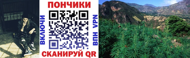 МАРИХУАНА индика Починок